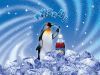 penguin-ice-1024x768