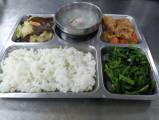 108.3.4午餐  白飯、香滷雞丁、木須白菜、炒菠菜、蘿蔔排骨湯