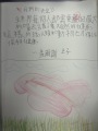 S__97345610_0