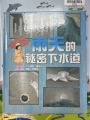 S__97271890_0