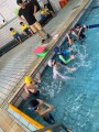 301 swimming (3)