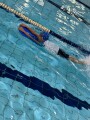 302 swimming (19)