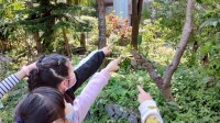 102生活主題二大樹小花我愛你 (2)