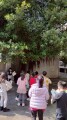 102生活主題二大樹小花我愛你 (5)