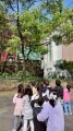 102生活主題二大樹小花我愛你 (12)