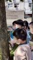 102生活主題二大樹小花我愛你 (17)