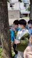 102生活主題二大樹小花我愛你 (18)