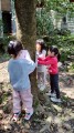 102生活主題二大樹小花我愛你 (24)