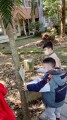 102生活主題二大樹小花我愛你 (26)