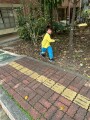 201 P.E. Frisbee (9)