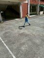 303 P.E. Frisbee (16)
