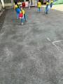 201 P.E. Frisbee (70)