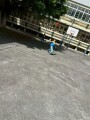 303 P.E. Frisbee (26)