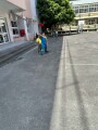 303 P.E. Frisbee (30)
