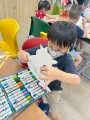 102 Toy Birds (6)