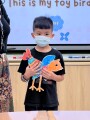 102 Toy Birds (8)