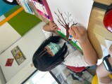 202 Colorful World (10)