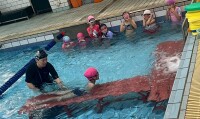 101 swimming class (3)