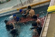101 swimming class (11)