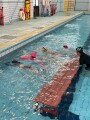 101 swimming class (26)