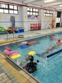 101 swimming class (29)