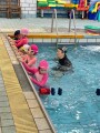 101 swimming class (44)