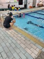 101 swimming class (64)