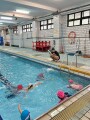 101 swimming class (66)