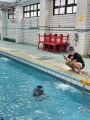 101 swimming class (68)