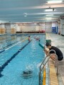 101 swimming class (71)