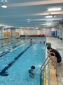 101 swimming class (72)
