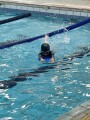 101 swimming class (82)