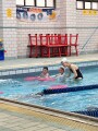 102 swimming class (75)