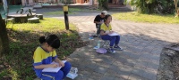 IMG_20250324_151350