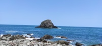 IMG_20250429_111109