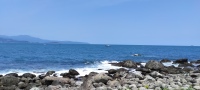 IMG_20250429_105604