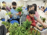 推動家庭教育(東信場)-家庭新關係